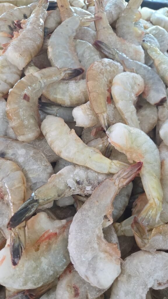 WhatsApp Image 2025-12-29 at 12.42.10 PM