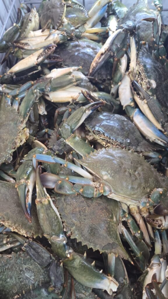 WhatsApp Image 2025-12-29 at 12.42.16 PM